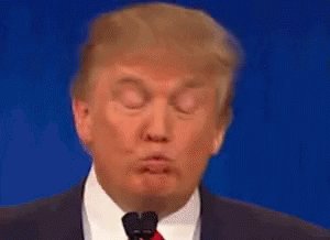 Trump Donald Trump GIF