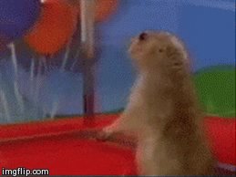 dramatic chipmunk GIF