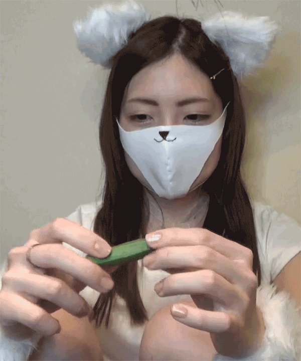 みゃあこ 白猫