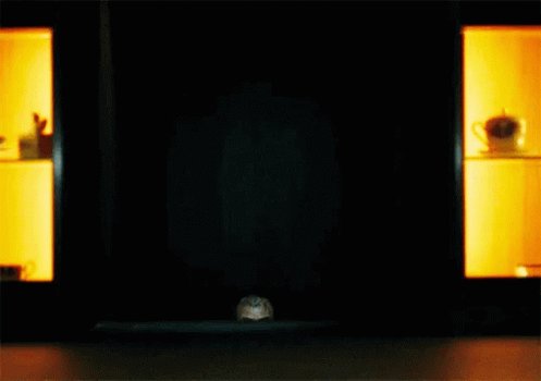 I just watched Parasite. Omg. https://t.co/XZFTugUQSr