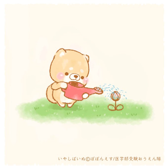 いやしばいぬ ぽぽんえす さん と Popons38 のやりとり 1 Whotwi グラフィカルtwitter分析 いやしばいぬ ぽぽんえす さん と Popons38 のやりとり 1 Whotwi グラフィカルtwitter分析