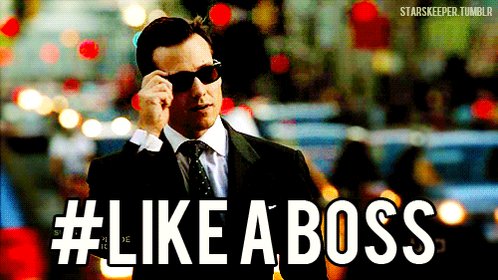 Like A Boss! GIF