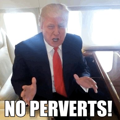 donald trump pervert GIF