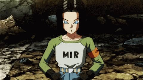  Happy birthday Android 17! 