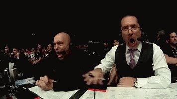 Lol Joe Rogan GIF