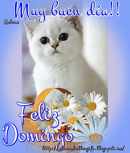 Zenia Maria on Twitter: Zenia Maria on Twitter: