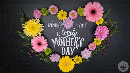 FW Arlington Heights Basketball (@AHHS_basketball) on Twitter photo 10/05/2020 22:51:34 Happy Mother’s Day!!! Happy Mother’s Day!!!