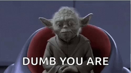 Dumb You Are Yoda GIF