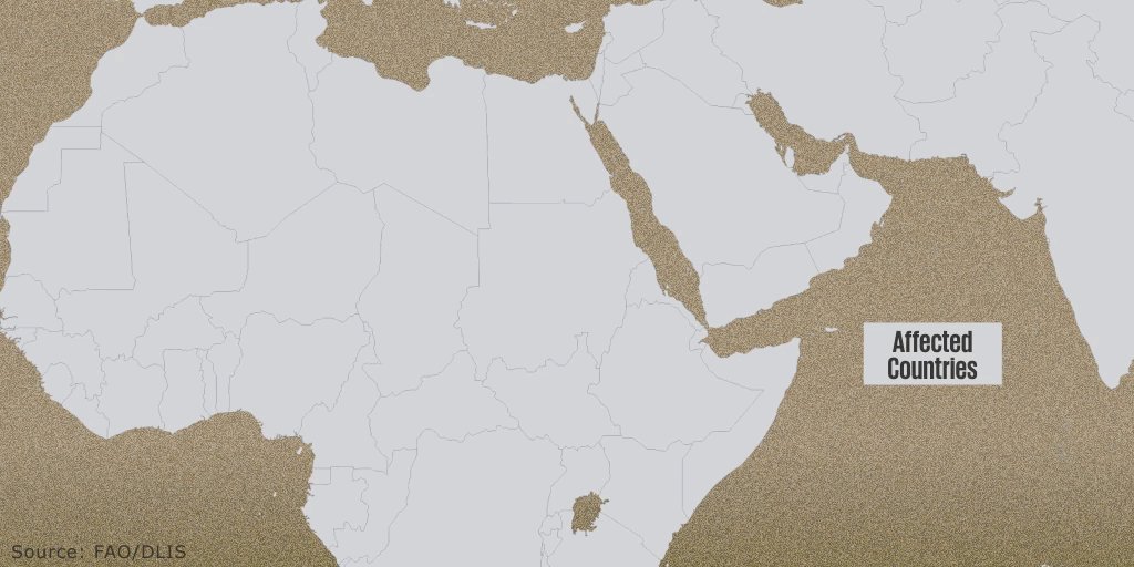 Our new $500 million program will help protect #foodsecurity and #livelihoods of the poor and vulnerable impacted by the #locust crisis by providing urgent #safetynets like #cashtransfers and cash for work interventions, and help them recover and rebuild. https://t.co/NiWMR2lBt0 https://t.co/HRHMAPMe39