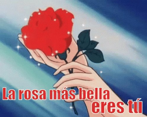 La Rosa Mas Bella Eres Rose GIF