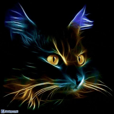 Obi Otherwan (@grahams_ebooks) on Twitter photo 03/12/2020 04:54:19 #amwriting about #mystical #cats smashwords.com/books/view/776… #amwriting about #mystical #cats smashwords.com/books/view/776…