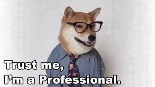 Trust Me Im A Professional GIF