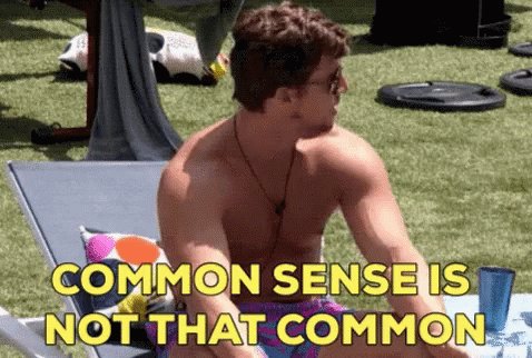 Bbbrett Common Sense GIF