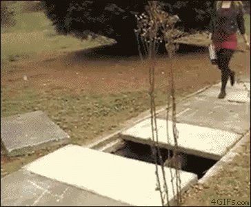 Fall Trip GIF
