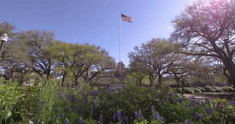 texas am sun GIF by Texas A&M University