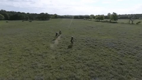 texas GIF