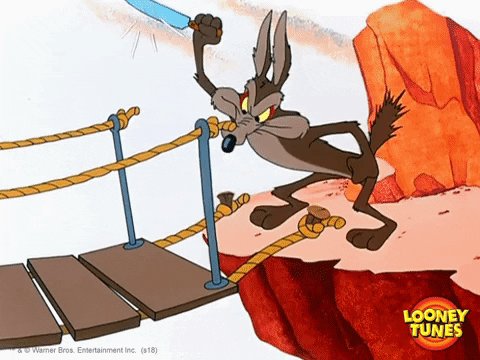 wile e coyote wtf GIF by Looney Tunes