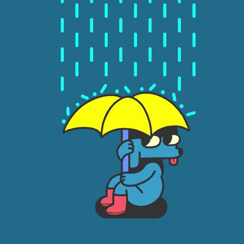 rain umbrella GIF by Jason ...