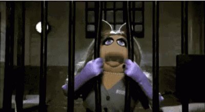 The Muppets Miss Piggy GIF