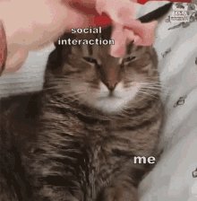 Awkward Social Interaction GIF