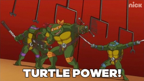 ninja turtles GIF by Teenag...