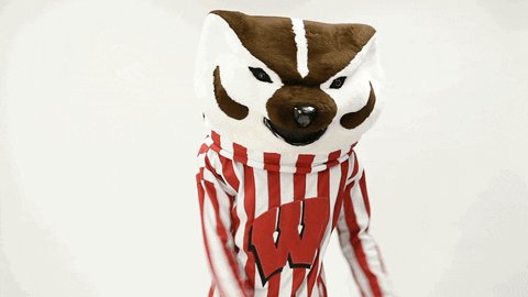 wisconsin bucky GIF by uwmadison