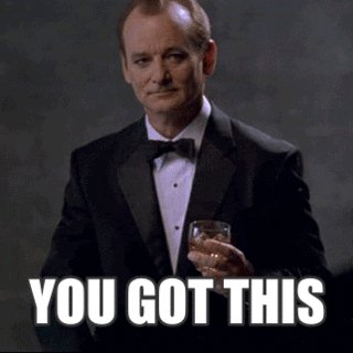 you got this bill murray GIF