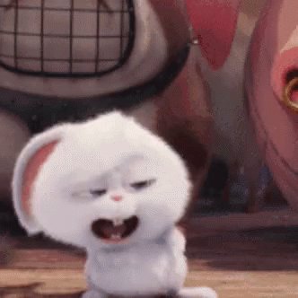 Laughing Rabbit GIF