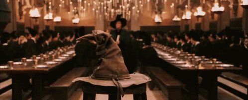 Sorting Hat GIF