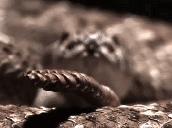 slow motion GIF