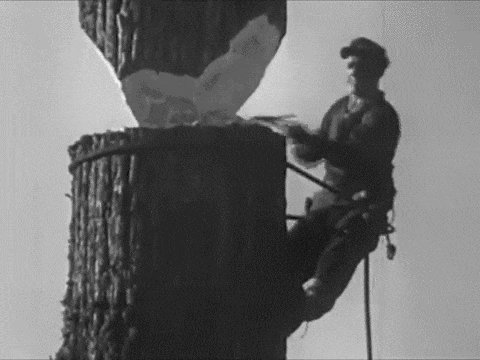 tree GIF