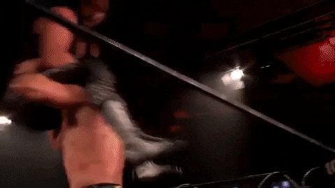 InsaneChampWres photo