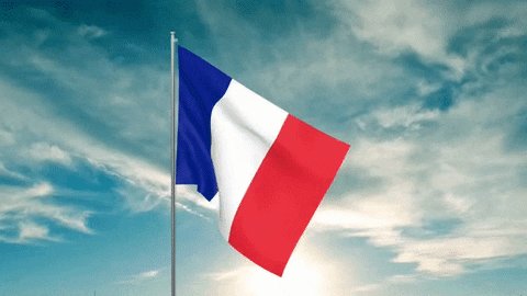 france GIF