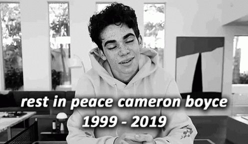 Happy Birthday and R.I.P Cameron Boyce, he would ve been 21 today  