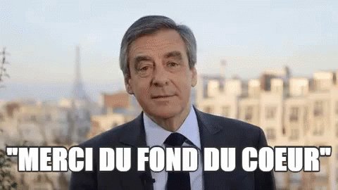 MERCI DU FOND DU COEUR GIF