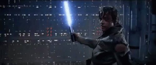 Skywalker Loses GIF