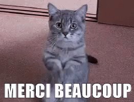 MERCI BEAUCOUP GIF