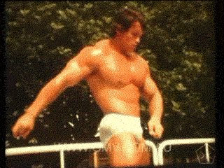 arnold schwarzenegger vinta...