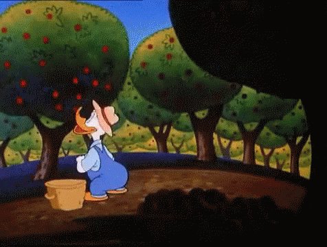 Apple Picking GIF