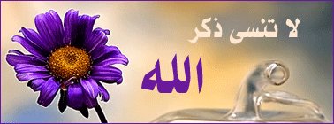 - سُبحان الله .🌸
- الحمدلله .💜
- لا إله إلا الله .🍂
- اللهُ أكبر .🌻
- سُبحان الله و بحمدهِ .🥀
- سُبحان الله العظيم .💐
- استغفر الله و أتوبُ إليهِ .🌑
- لا حول و لا قوة إلا بالله .🍀
- اللهُم صل على نبينا محمد .☁️
- لا اله الا انتَ سبحانك ❄️
اني كنت من الظالمينَ .⭐️ https://t.co/6s6O5BANOo