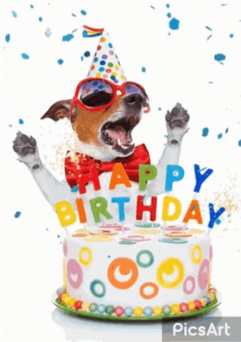  Happy Birthday Oscar!! 