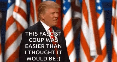 Trump Donald GIF