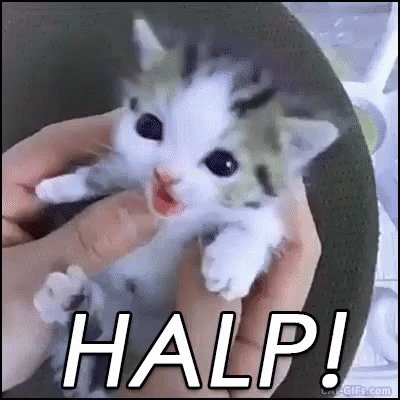 Halp GIF