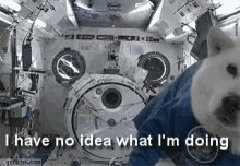Dont Know No Idea GIF
