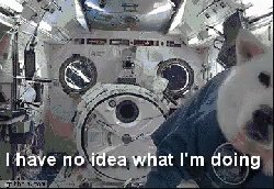 No Idea Floating GIF