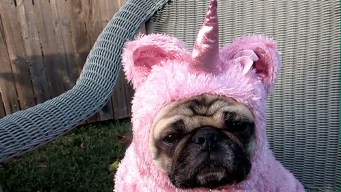 Excited Unicorn GIF