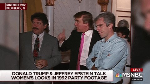 Trump Epstein GIF