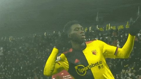 Watford Fc Soccer GIF by Wa...