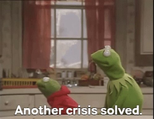 Muppet Family Christmas Muppets GIF