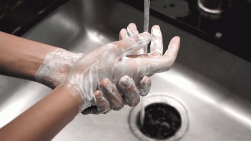 Wash Hands Wash Your Hands GIF